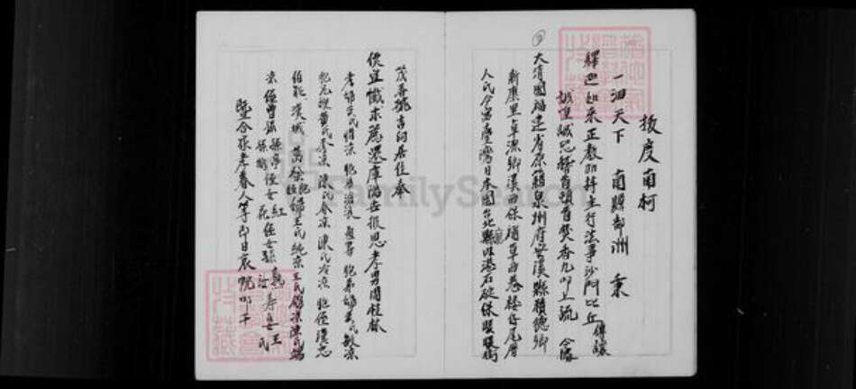 湖南省衡阳市衡南县隆市周氏族谱-周胜褔公家谱.pdf电子版预览图4