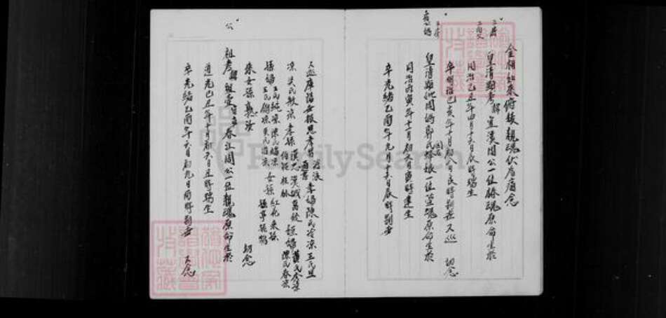 湖南省衡阳市衡南县隆市周氏族谱-周胜褔公家谱.pdf电子版预览图5