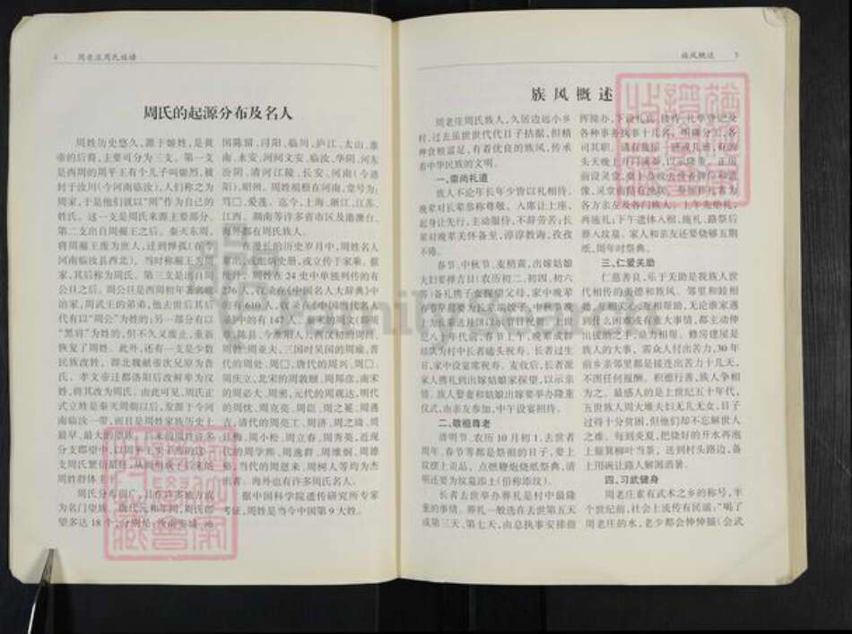 河南省周口市扶沟县练寺镇周氏族谱-周老庄周氏族谱.pdf电子版预览图4