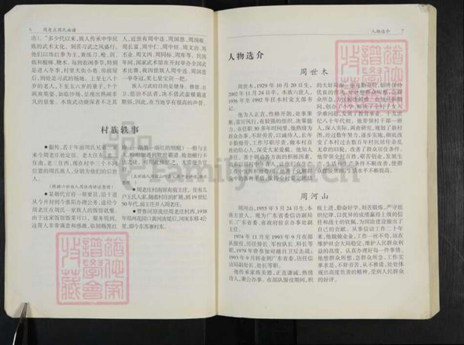 河南省周口市扶沟县练寺镇周氏族谱-周老庄周氏族谱.pdf电子版预览图5