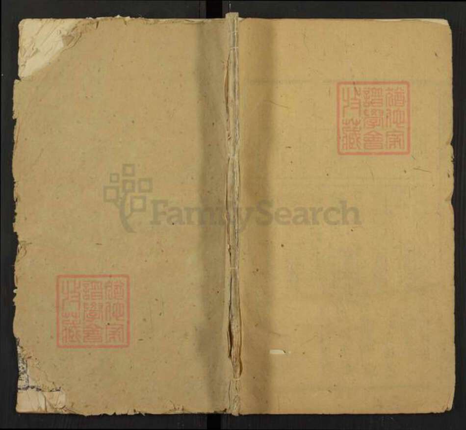 湖南省长沙市周氏汝南堂族谱-周氏族谱.pdf电子版缩略图