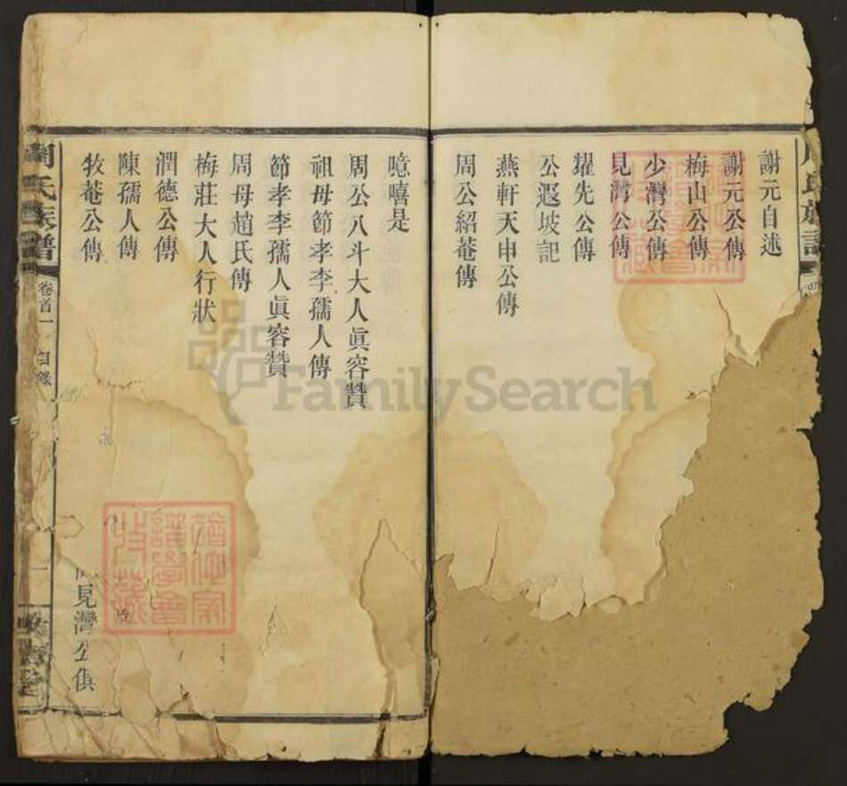 湖南省长沙市周氏汝南堂族谱-周氏族谱.pdf电子版预览图5