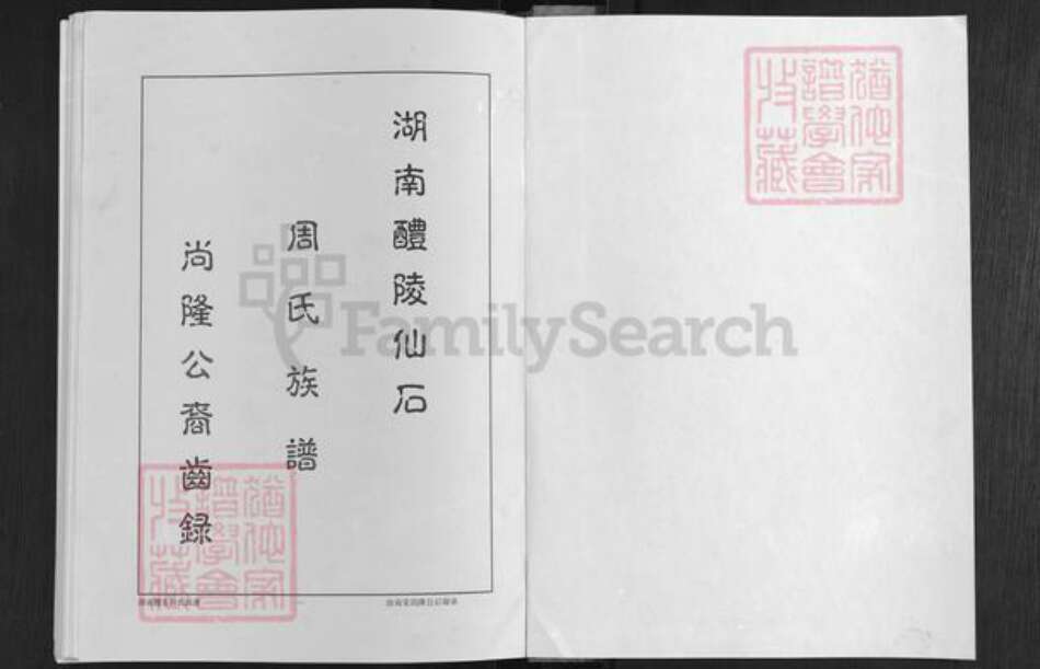 湖南省株洲市醴陵市浦口镇周氏汝南堂族谱-湖南醴陵仙石.周氏六修族谱.尚隆公裔齿录.pdf电子版预览图1