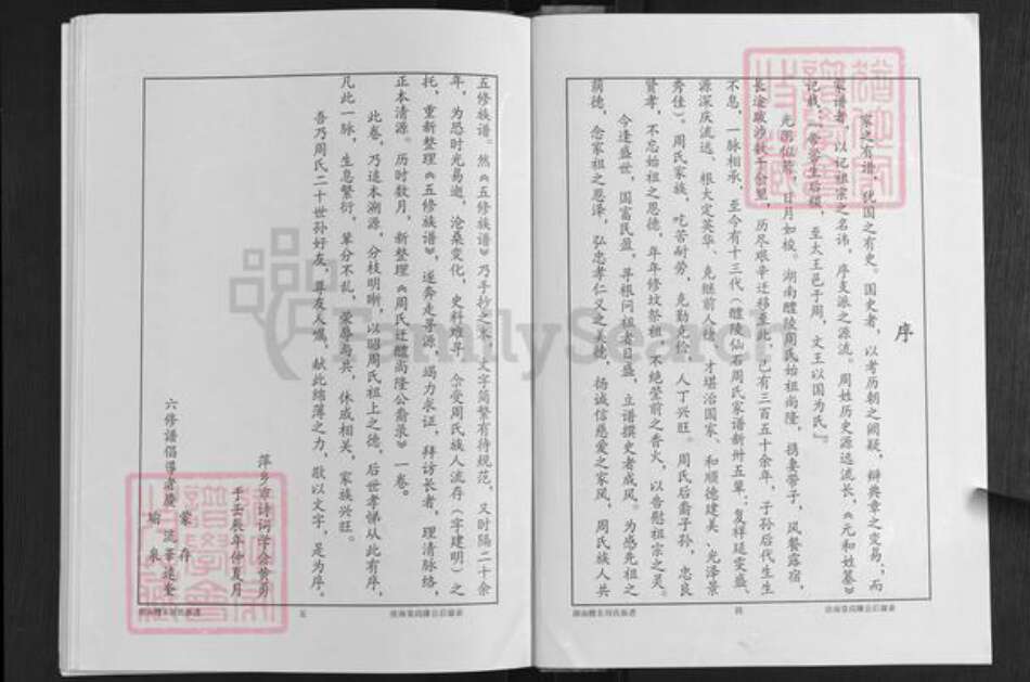 湖南省株洲市醴陵市浦口镇周氏汝南堂族谱-湖南醴陵仙石.周氏六修族谱.尚隆公裔齿录.pdf电子版预览图3