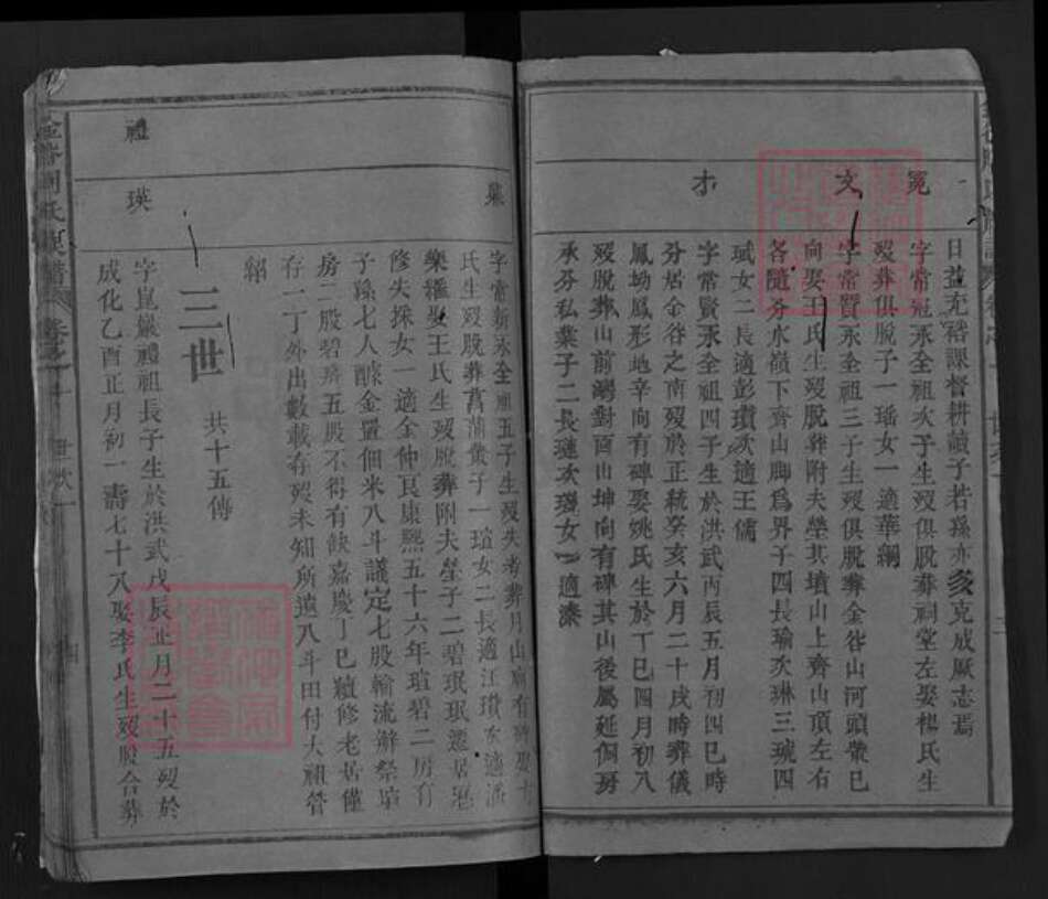 湖北省黄冈市浠水县洗马镇周氏族谱-金谷周氏族谱.pdf电子版预览图3