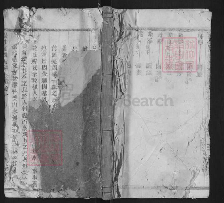 浙江省丽水市莲都区仙渡乡周氏族谱-根竹园周氏宗谱.pdf电子版缩略图