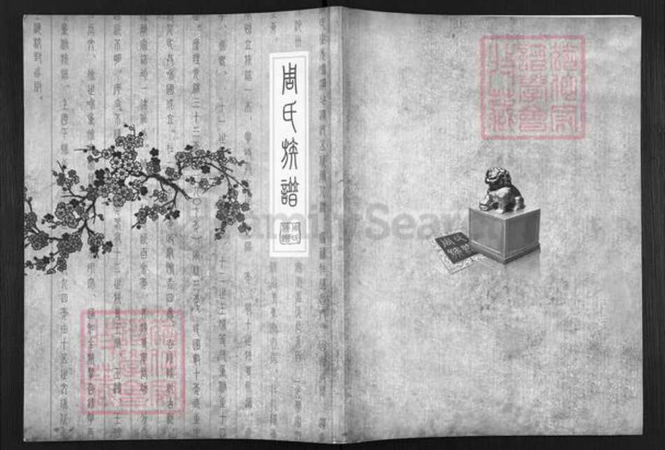 安徽省滁州市天长市铜城镇周氏汝南堂族谱-周氏族谱.pdf电子版缩略图