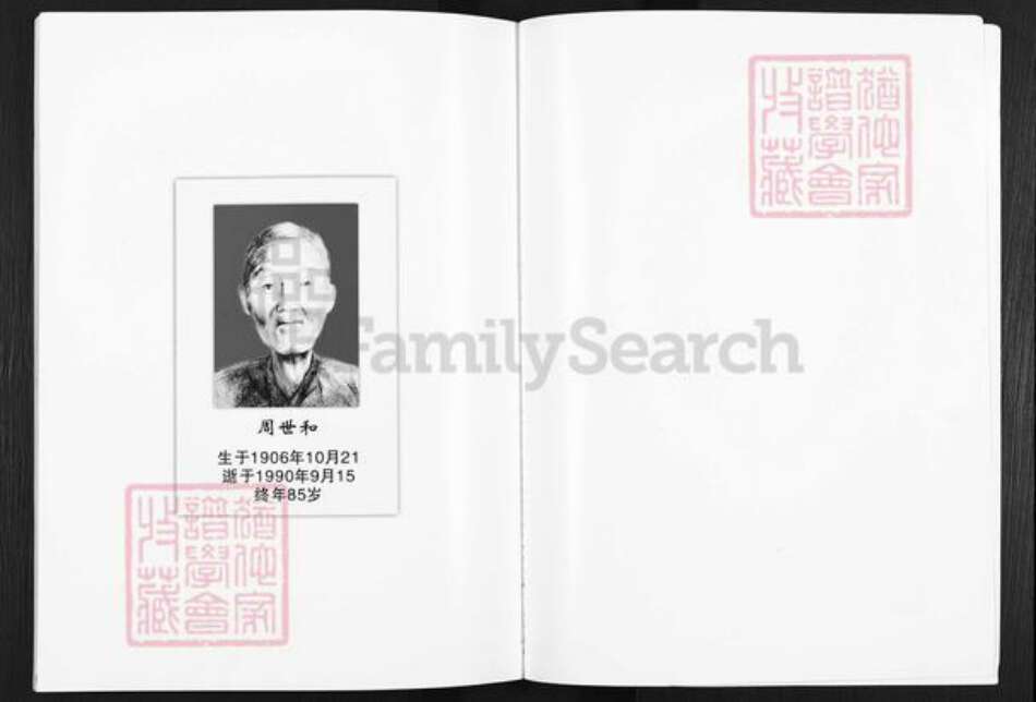 安徽省滁州市天长市铜城镇周氏汝南堂族谱-周氏族谱.pdf电子版预览图3