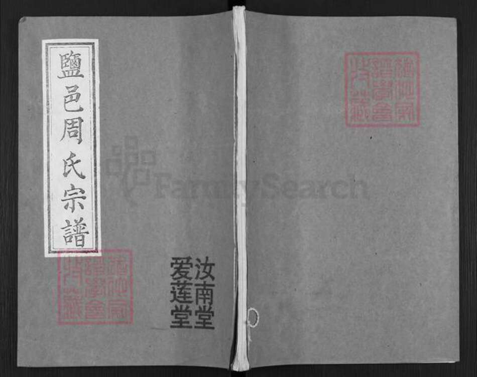 江苏省盐城市盐都区龙冈镇周氏爱莲堂族谱-盐邑周氏宗谱.pdf电子版缩略图