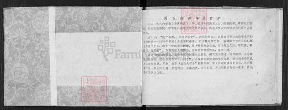 河南省新乡市原阳县太平镇周氏族谱-周氏家谱.pdf电子版预览图1