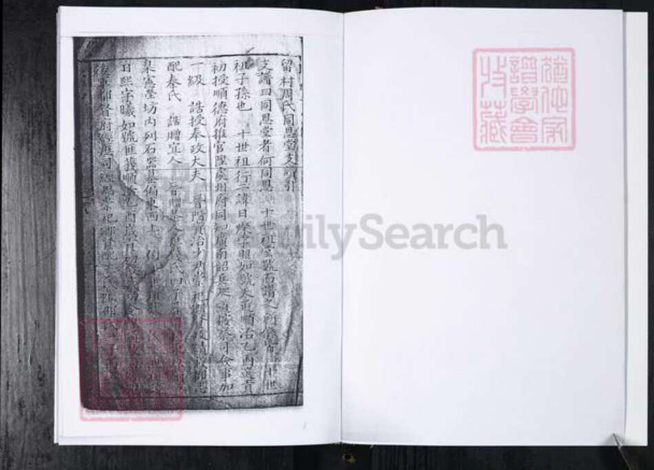 山东省青岛市周氏族谱-周氏族谱.留村同恩堂.pdf电子版预览图2