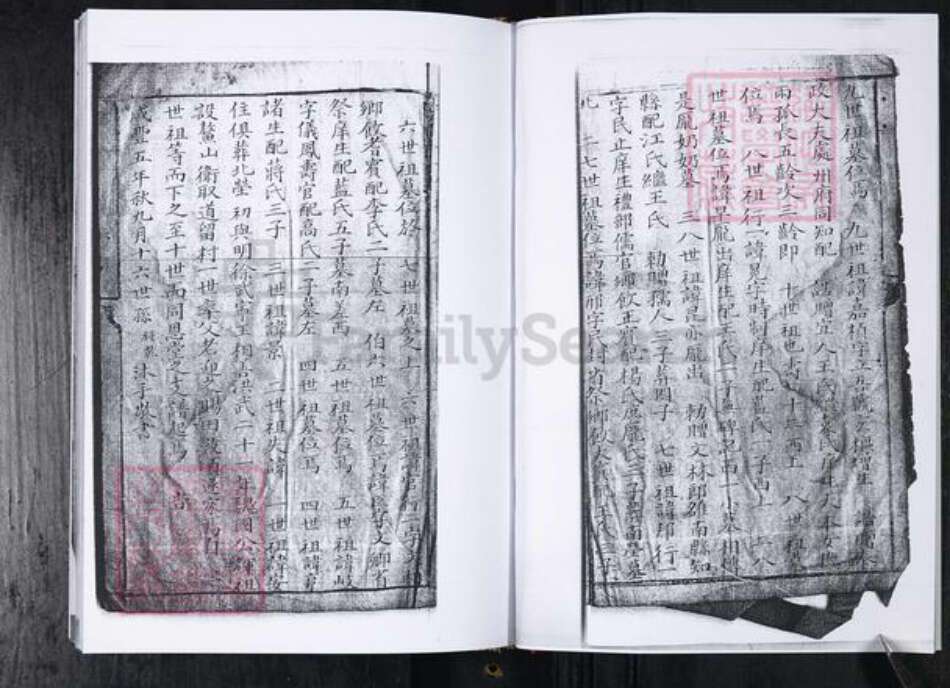 山东省青岛市周氏族谱-周氏族谱.留村同恩堂.pdf电子版预览图3