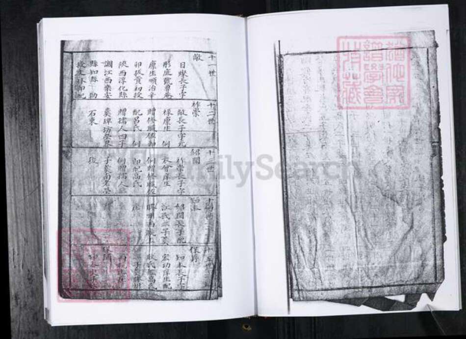 山东省青岛市周氏族谱-周氏族谱.留村同恩堂.pdf电子版预览图4