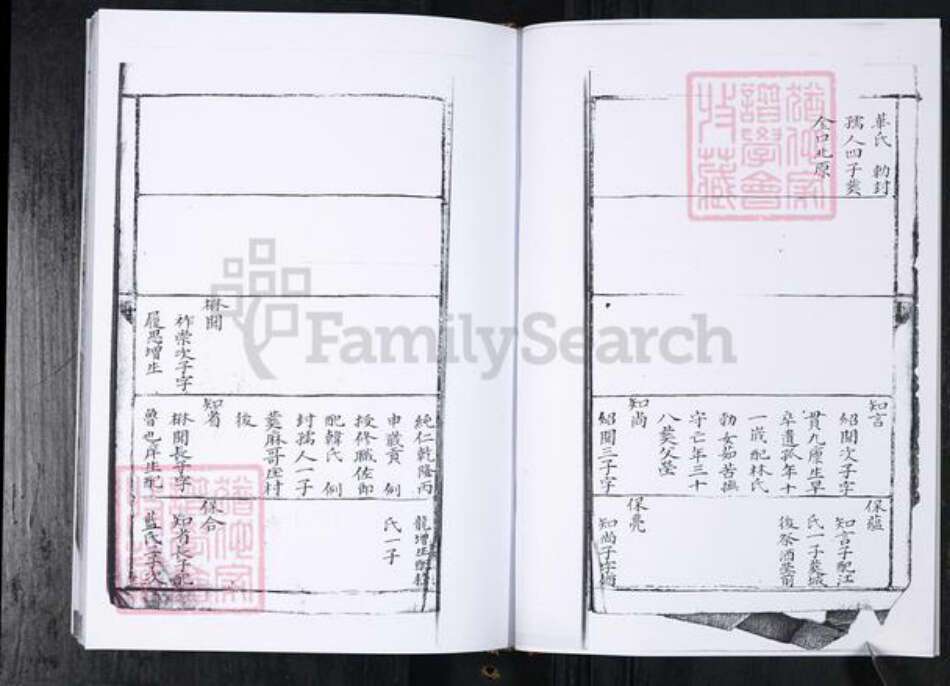 山东省青岛市周氏族谱-周氏族谱.留村同恩堂.pdf电子版预览图5