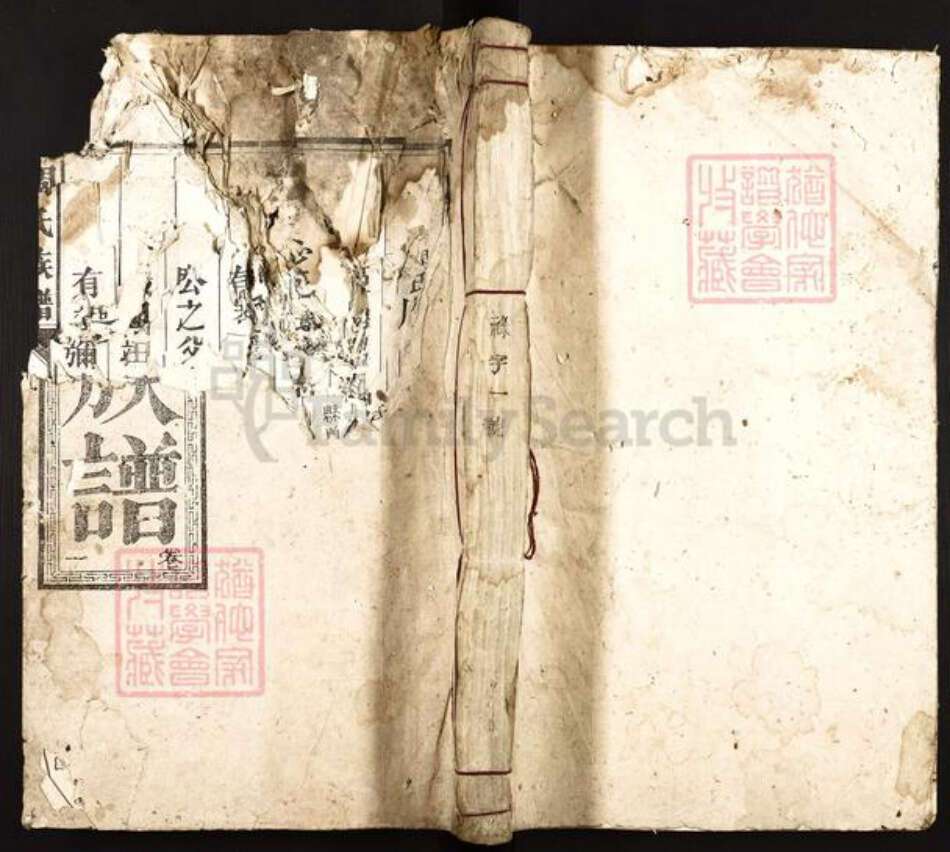 湖南省郴州市宜章县里田镇周氏贻谋堂族谱-周氏族谱.pdf电子版缩略图