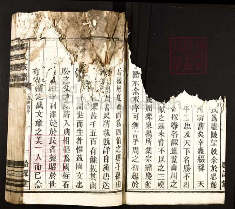 湖南省郴州市宜章县里田镇周氏贻谋堂族谱-周氏族谱.pdf电子版预览图3