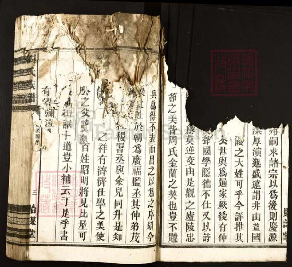 湖南省郴州市宜章县里田镇周氏贻谋堂族谱-周氏族谱.pdf电子版预览图4