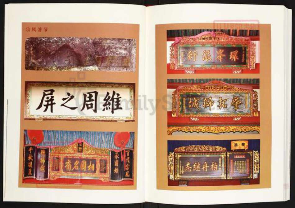 福建省宁德市周宁县狮城周氏族谱-福建.周宁 狮城周氏谱志.pdf电子版预览图5