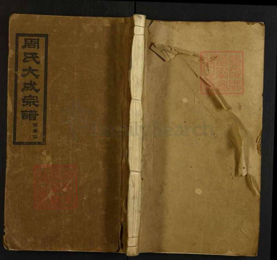 湖南省岳阳市周氏汝南堂族谱-周氏大成宗谱.儒骞公.pdf电子版缩略图