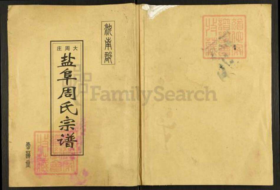 江苏省盐城市阜宁县周氏爱莲堂族谱-大周庄盐阜周氏宗谱.pdf电子版缩略图