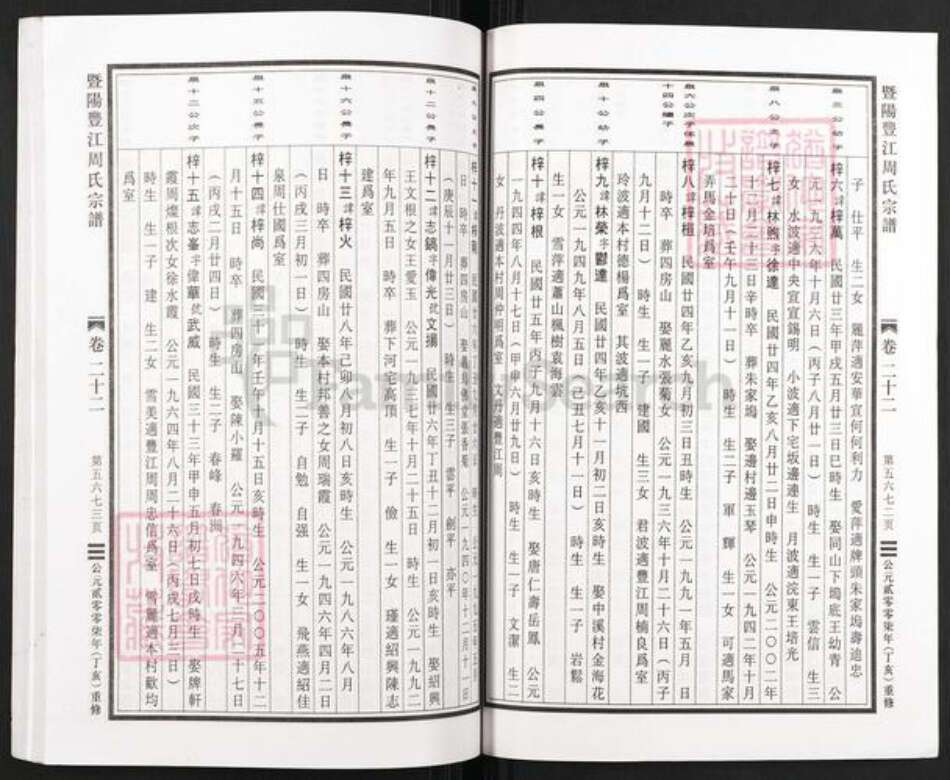 浙江省绍兴诸暨市暨阳街道周氏族谱-暨阳丰江周氏宗谱.pdf电子版预览图2