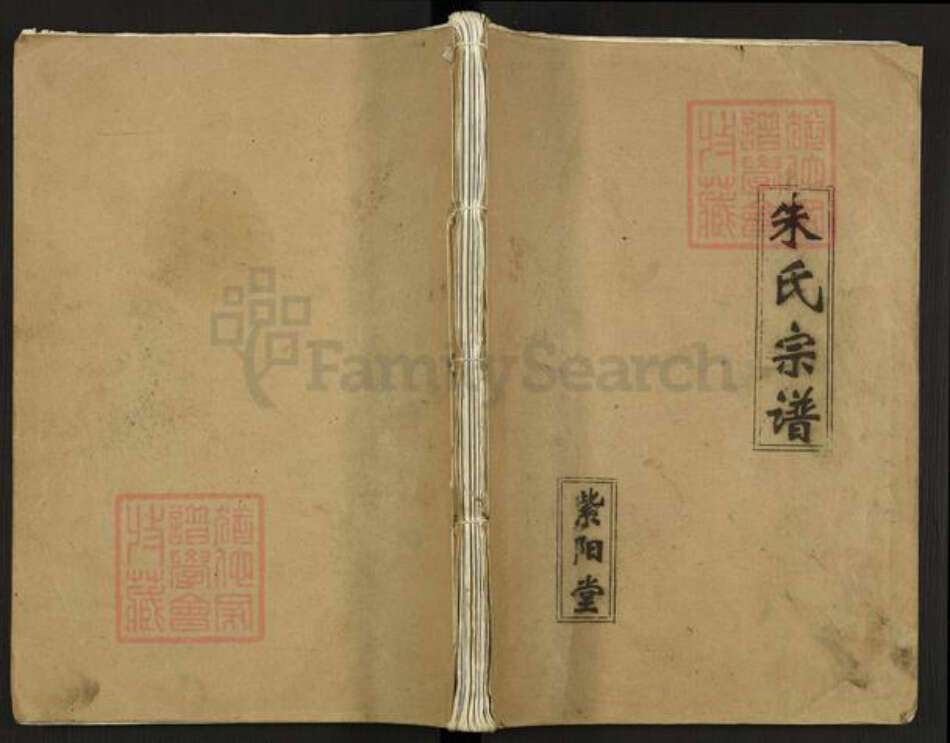 江苏省盐城市阜宁县益林镇朱氏紫阳堂族谱-朱氏宗谱.pdf电子版缩略图