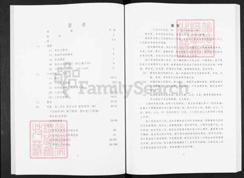 福建省漳州市平和县霞寨镇朱氏惇本堂族谱-三坑朱氏族谱.pdf电子版预览图2