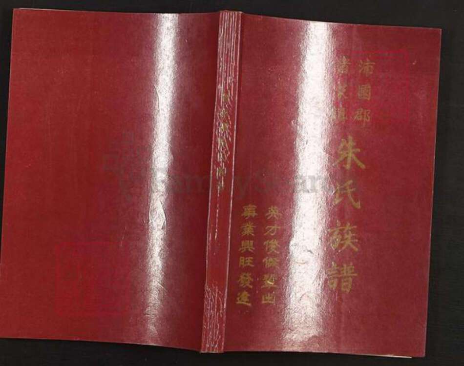 广东省韶关市新丰县梅坑镇朱氏族谱-沛国郡.诸家镇.朱氏族谱.pdf电子版缩略图