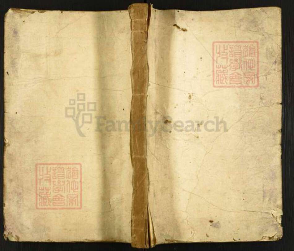 浙江省丽水市青田县朱氏族谱-义阳朱氏宗谱.pdf电子版缩略图