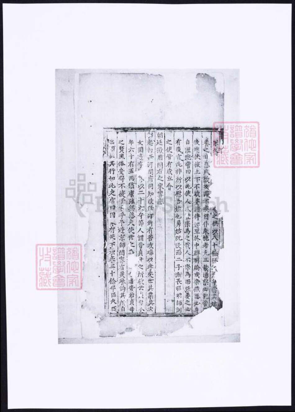 浙江省金华市朱氏族谱-金华西古坊南溪朱氏宗谱.pdf电子版预览图3