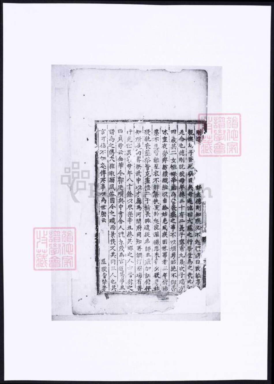 浙江省金华市朱氏族谱-金华西古坊南溪朱氏宗谱.pdf电子版预览图5