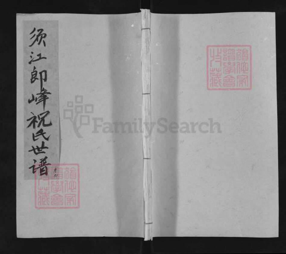 浙江省衢州江山市石门镇祝氏族谱-须江郎峰祝氏世谱.pdf电子版缩略图