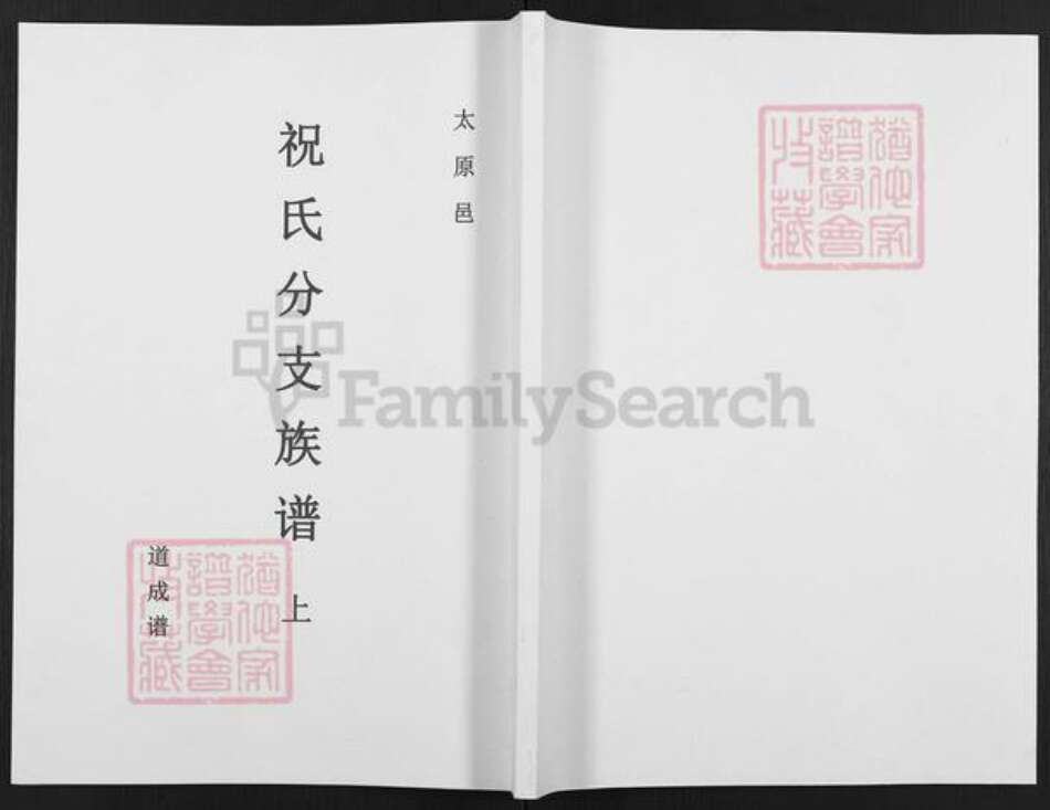 广东省云浮市云安区镇安镇祝氏太原堂族谱-祝氏分支族谱.道成谱.pdf电子版缩略图