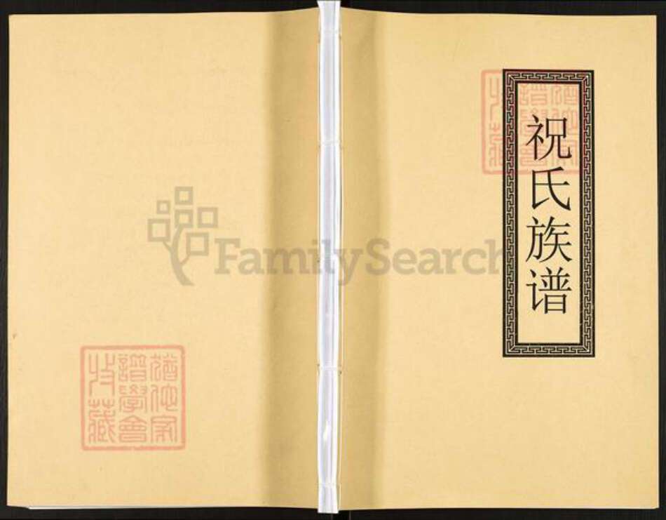 湖南省怀化市辰溪县辰阳镇祝氏怀星堂族谱-祝氏族谱.pdf电子版缩略图