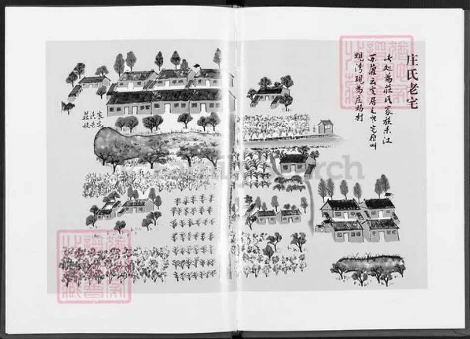 江苏省连云港市灌云县杨集镇庄氏南华堂族谱-庄氏家谱.pdf电子版预览图3