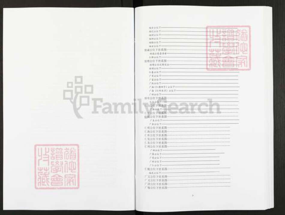 吉林省长春市农安县庄氏七星堂族谱-庄氏家谱.pdf电子版预览图3