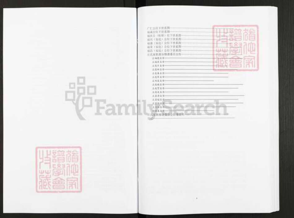 吉林省长春市农安县庄氏七星堂族谱-庄氏家谱.pdf电子版预览图4