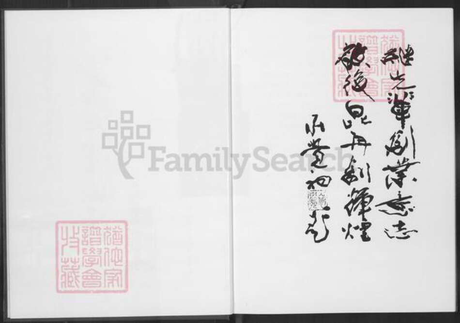 福建省厦门市海沧区庄氏百老堂族谱-百老堂族谱.pdf电子版预览图2