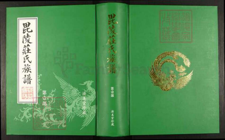 江苏省常州市武进县嘉泽镇庄氏济美堂族谱-毗陵庄氏族谱.pdf电子版缩略图