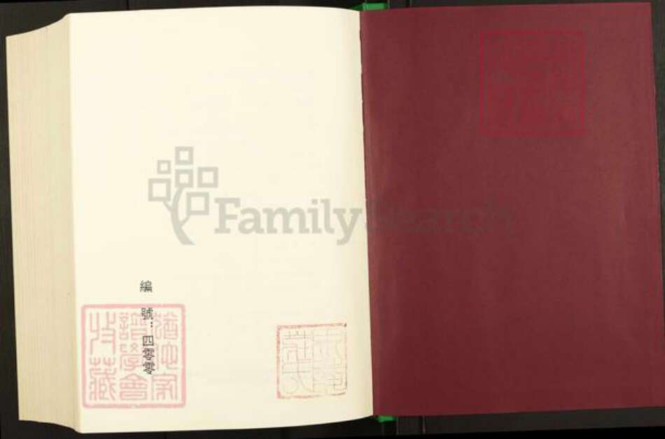 江苏省常州市武进县嘉泽镇庄氏济美堂族谱-毗陵庄氏族谱.pdf电子版预览图1