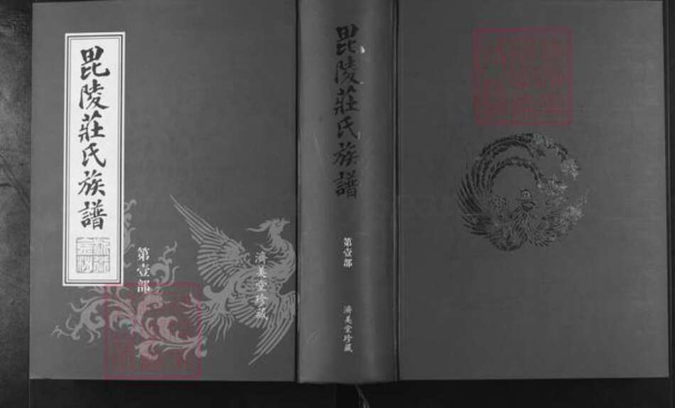 江苏省常州市武进县嘉泽镇庄氏济美堂族谱-毘陵庄氏族谱.pdf电子版缩略图