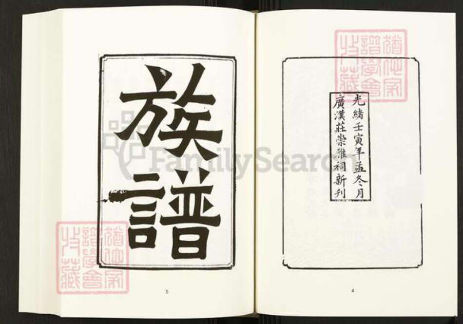 四川省四川省庄氏崇雅堂族谱-中国珍稀家谱丛刊.四川家谱.第16册.庄氏族谱.pdf电子版预览图5