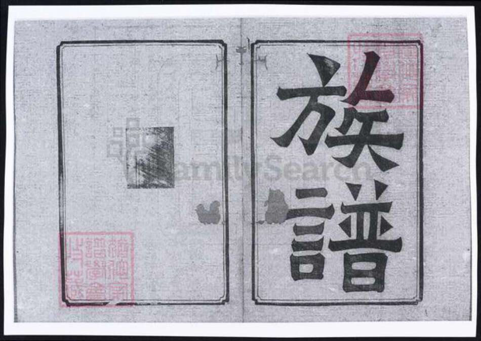 四川省遂宁市大英县庄氏族谱-庄氏族谱.pdf电子版预览图2