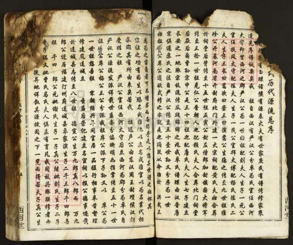 福建省龙岩市连城县卓氏西河堂族谱-卓氏联修族谱.pdf电子版预览图4