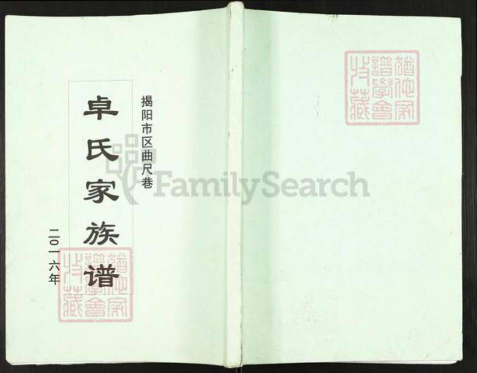 广东省揭阳市惠来县岐石镇卓氏族谱-卓氏家族谱.pdf电子版