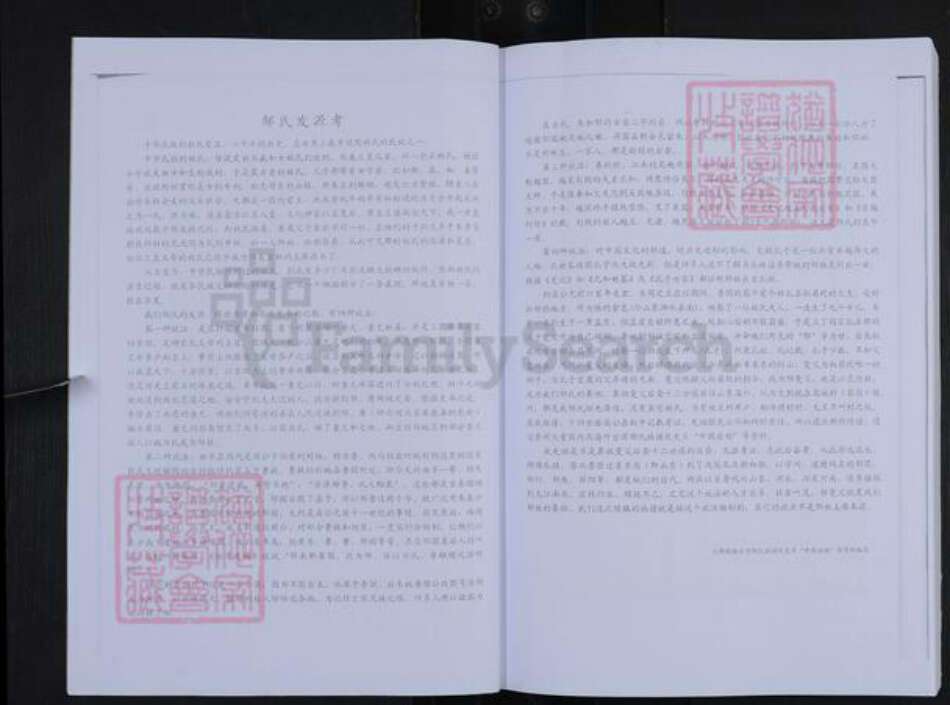 山东省淄博市张店区沣水镇邹氏族谱-昌城邹氏世谱.pdf电子版预览图3