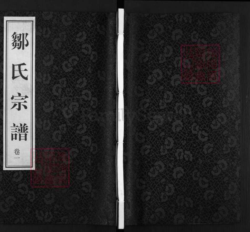 江苏省常州市武进县横林镇邹氏愿贤堂族谱-邹氏宗谱.pdf电子版缩略图