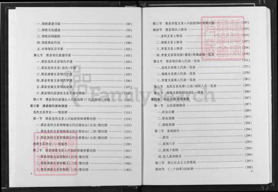 四川省达州市渠县龙凤镇邹氏族谱-渠县邹氏家谱.pdf电子版预览图4