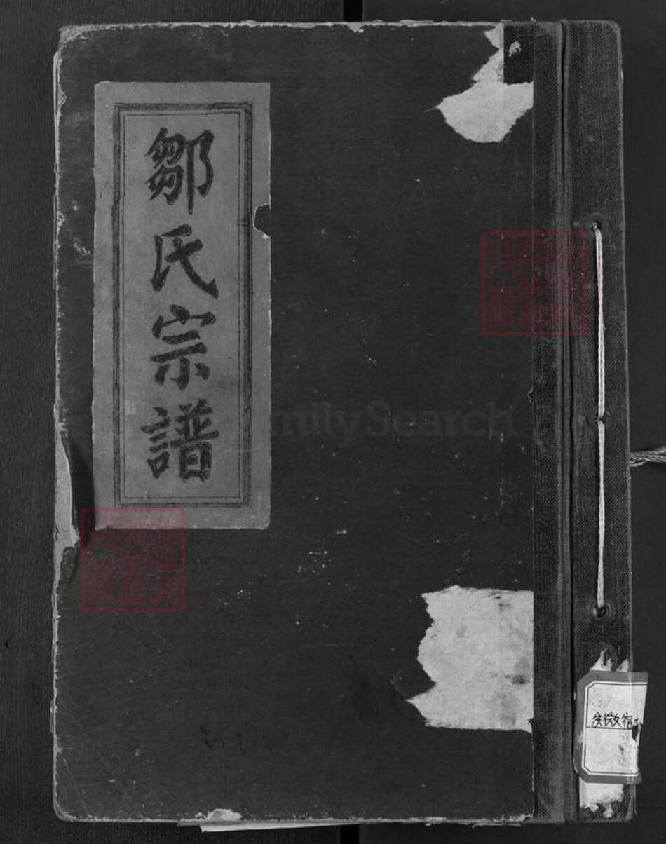 安徽省安庆市宿松县趾凤乡邹氏族谱-邹氏宗谱.pdf电子版缩略图