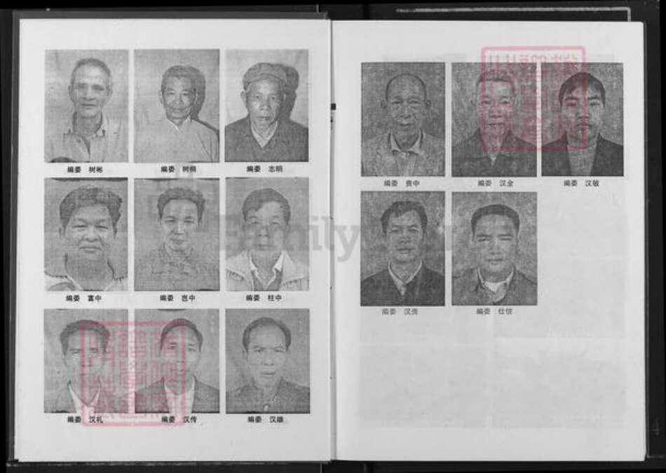 广西壮族自治区玉林容县石头镇邹氏族谱-桂东南邹氏族谱.pdf电子版预览图4